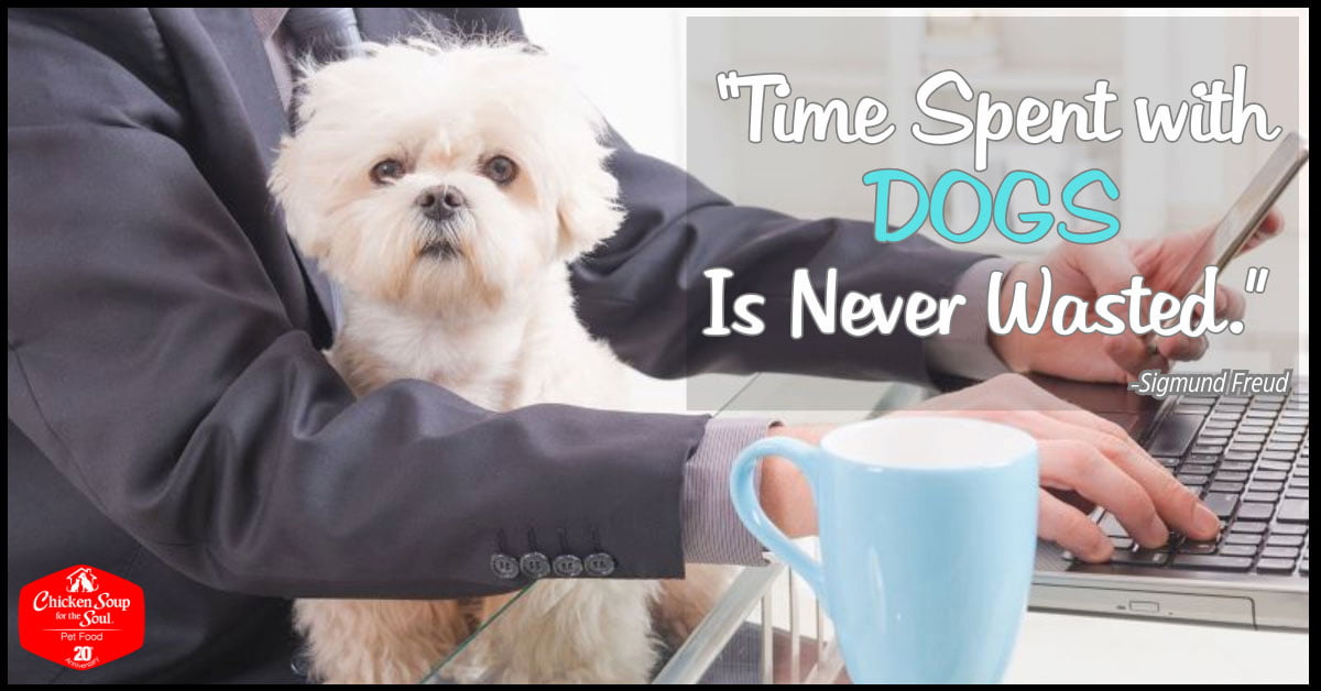 'Time spent with dogs is never wasted' - Sigmund Freud (A dog sits in front of a suit-wearing person typing on a laptop)