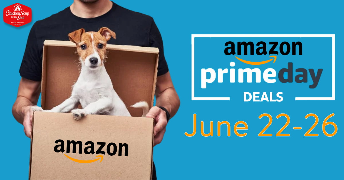 Terrier looking out from an open cardboard box carried by a man